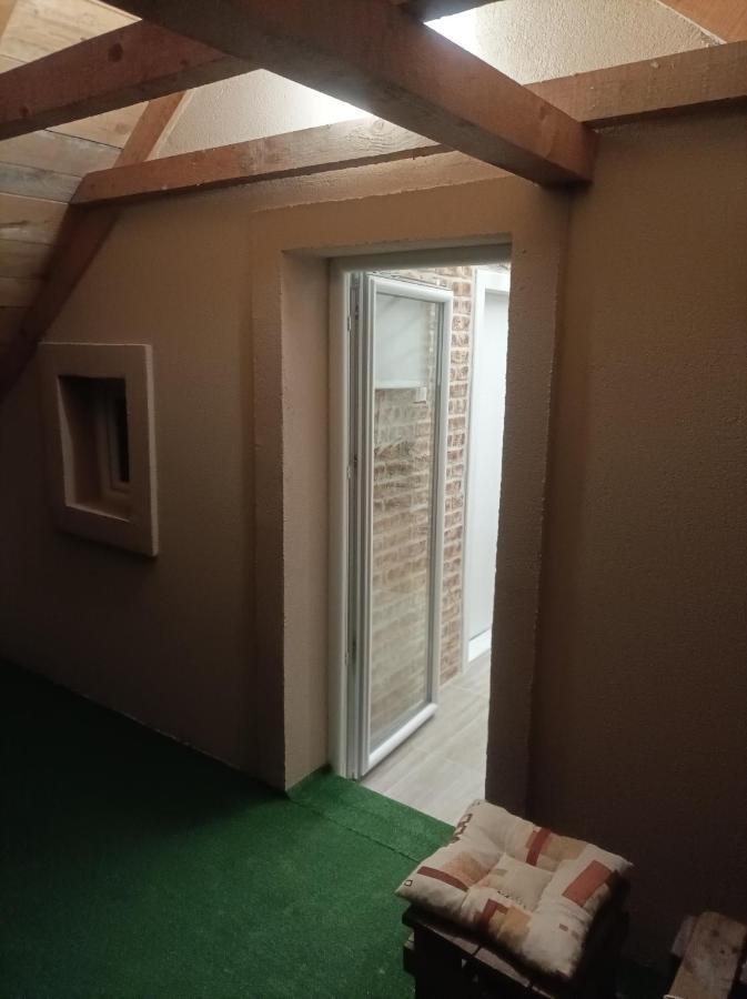 Apartmani Marija Zemun Zemun Polje Exteriör bild