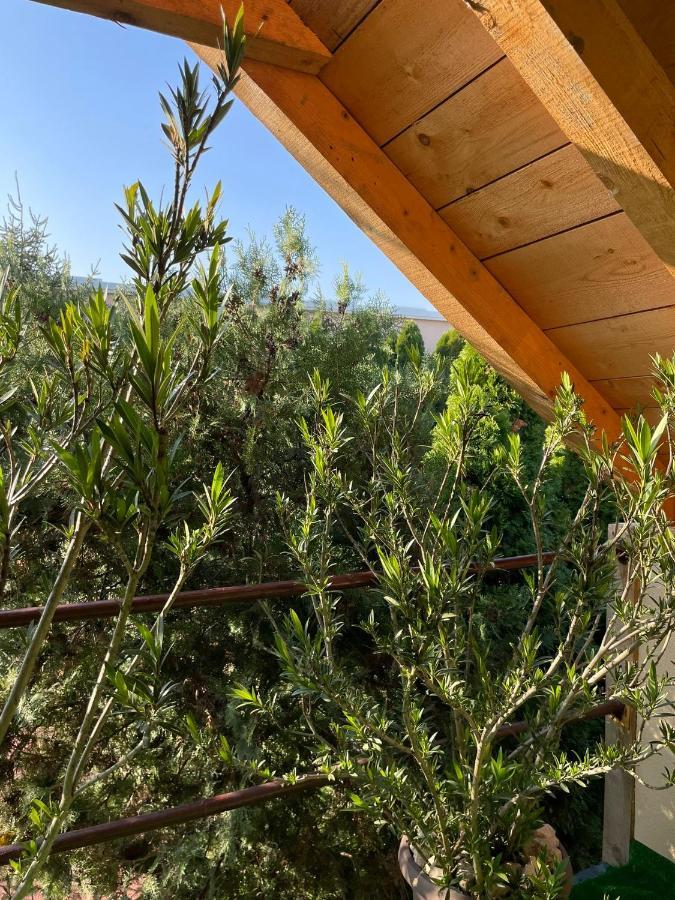 Apartmani Marija Zemun Zemun Polje Exteriör bild