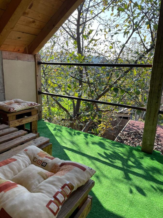 Apartmani Marija Zemun Zemun Polje Exteriör bild